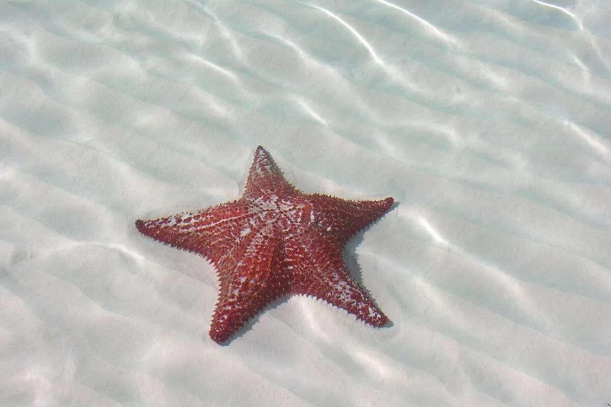 Exuma: Stocking Island