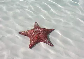turistipercaso mare-ees25