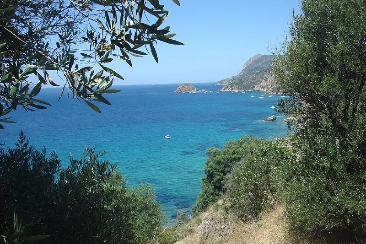 Scorcio