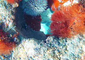 turistipercaso mare-ffvsm