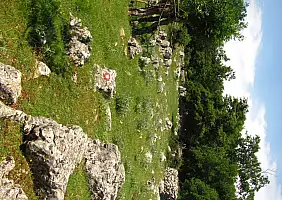 turistipercaso mare-g24fk