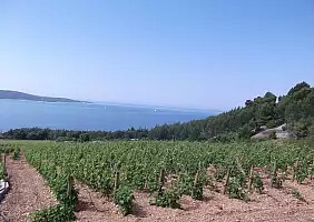 turistipercaso mare-g95jm