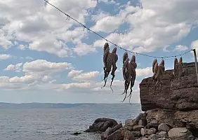 turistipercaso mare-gbqby