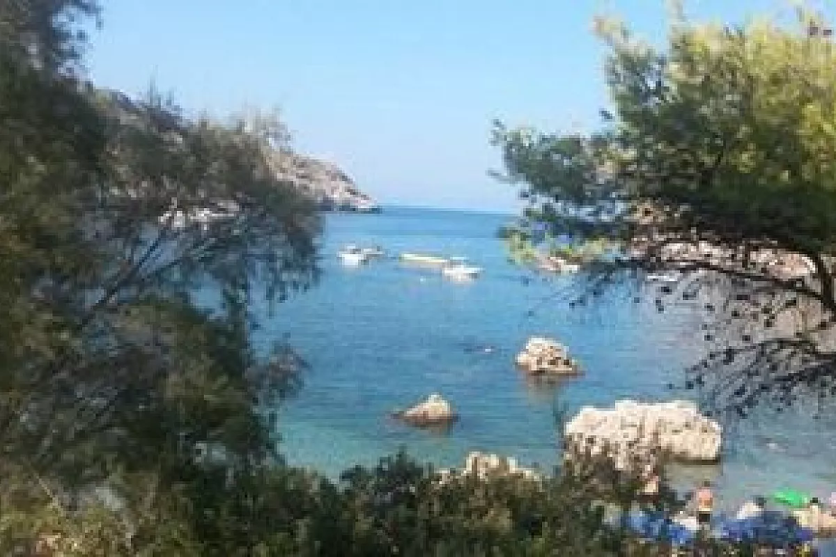 anthony queen's bay