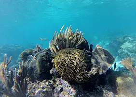 turistipercaso mare-htpua