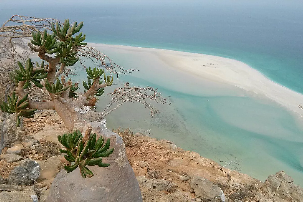 Il mare di e il popolo di Socotra