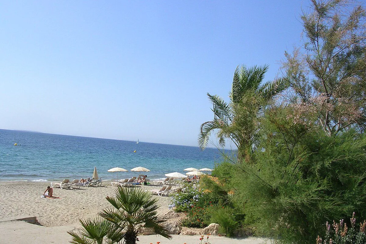 mare