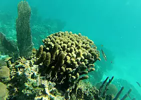 turistipercaso mare-j7tr1