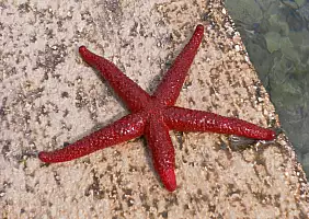 turistipercaso mare-k17yv