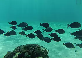 turistipercaso mare-k2a84