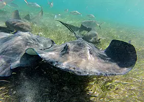 turistipercaso mare-kahd6