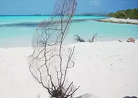 turistipercaso mare-kcjzp