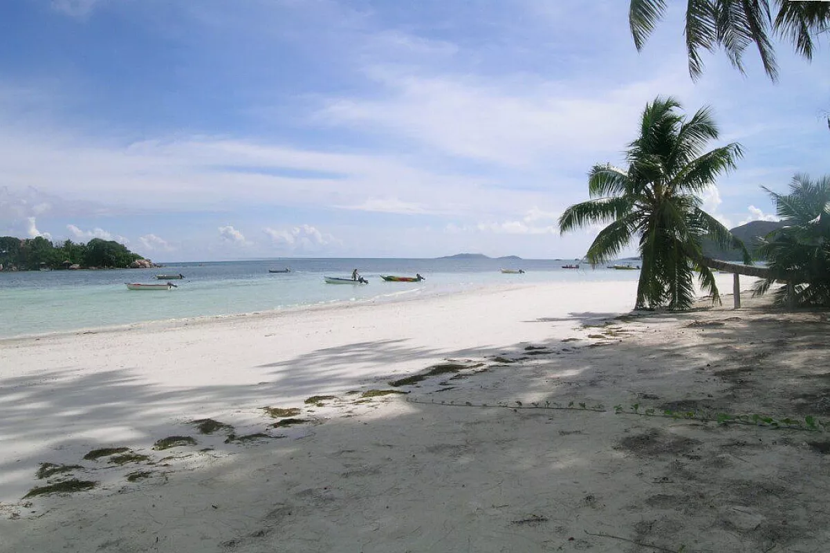 Cote d'Or, Praslin