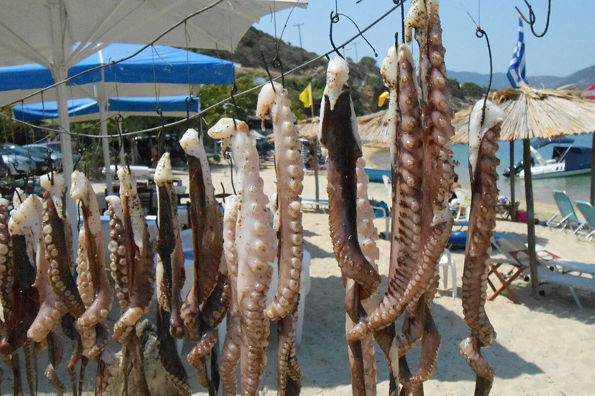 Limanaki Beach Sykia