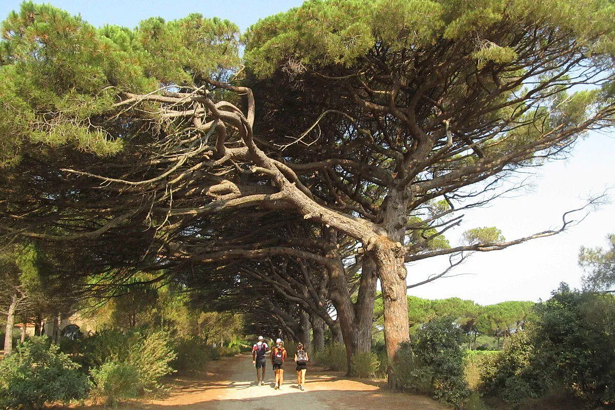 Corridoio naturale