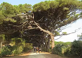 turistipercaso mare-m8y73
