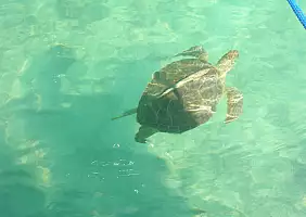 turistipercaso mare-mxnsq