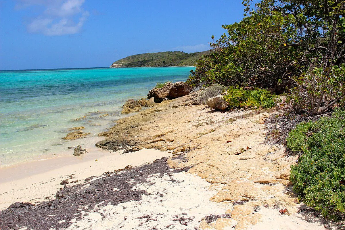Green Island