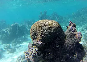 turistipercaso mare-njbw2
