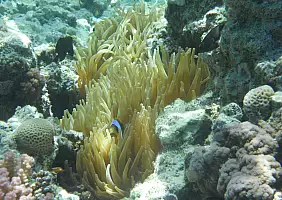 turistipercaso mare-p5prz