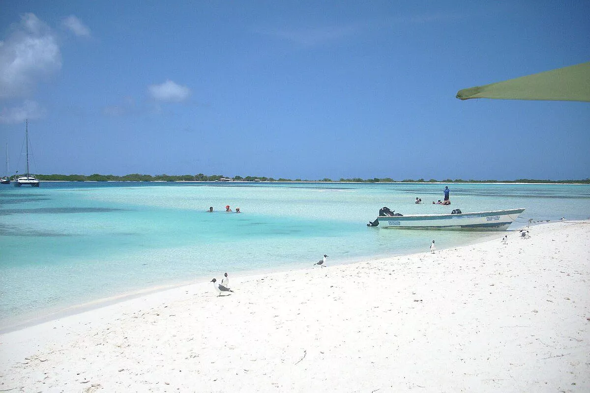 LOS ROQUES, L'isola dei mille colori e dei cani felici