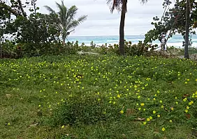 turistipercaso mare-ppvm4