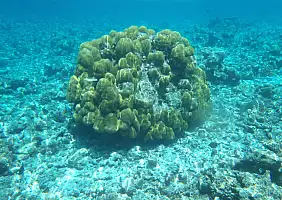 turistipercaso mare-qv3et