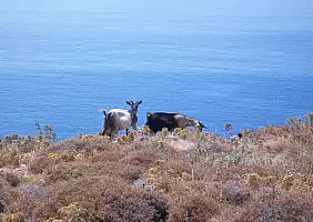 turistipercaso mare-reugx