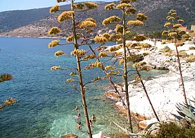 turistipercaso mare-rgxe3