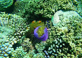 turistipercaso mare-sbtb3