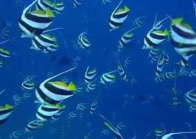 turistipercaso mare-sfrx6