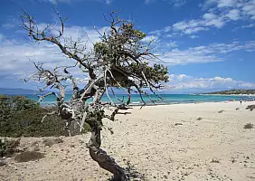 turistipercaso mare-sxcvt