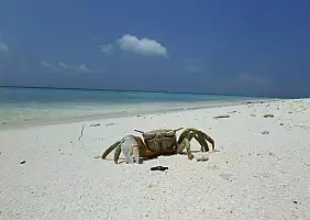 turistipercaso mare-tcvh4