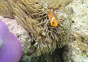 turistipercaso mare-va6bt