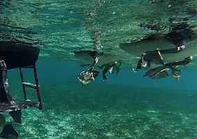 turistipercaso mare-vednm