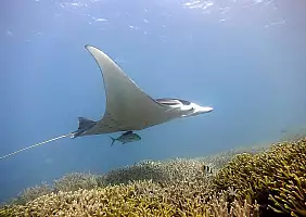 turistipercaso mare-vggu5