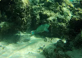 turistipercaso mare-vhcz1