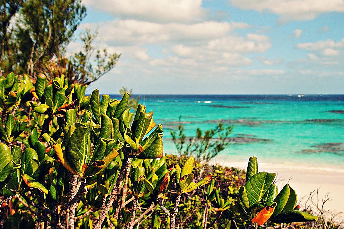 Lighthouse Beach
