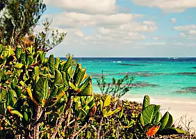 turistipercaso mare-w8bwu