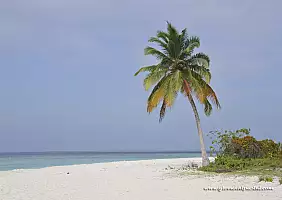 turistipercaso mare-w8dge