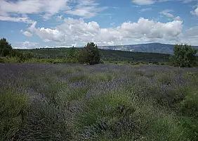 turistipercaso mare-w8mmp