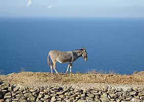 turistipercaso mare-wqywz