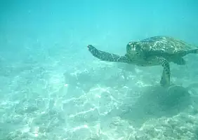 turistipercaso mare-x2s2f