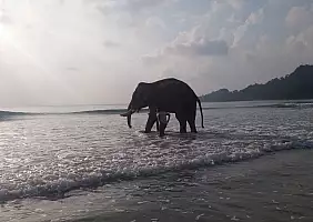 turistipercaso mare-xtmzk