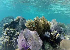 turistipercaso mare-xzntv
