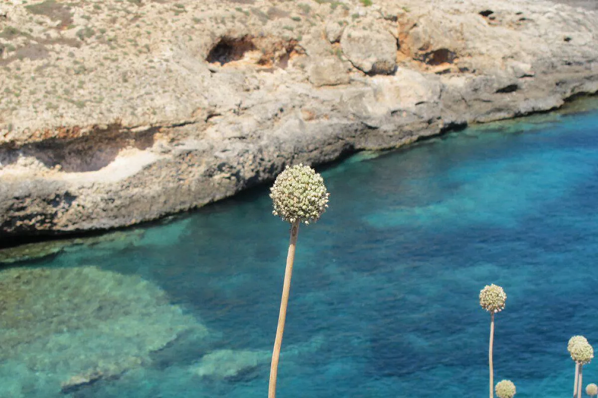 Lampedusa