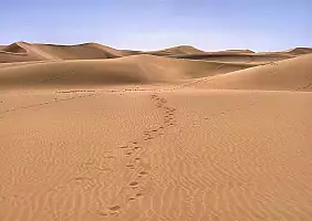 turistipercaso mare-yvsyg