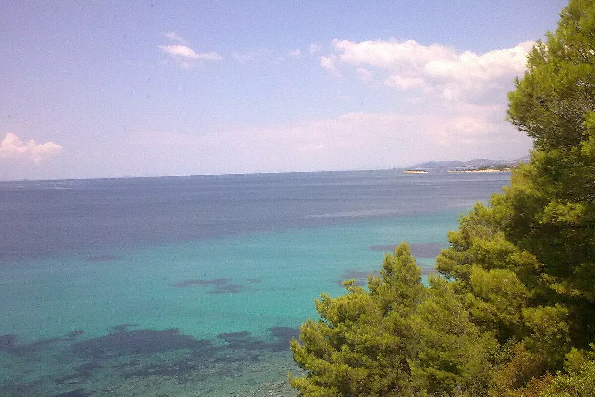 trasparenze turchesi nel verde