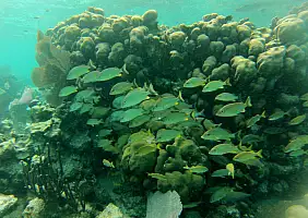 turistipercaso mare-znvyg