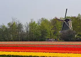 turistipercaso marken-v897m
